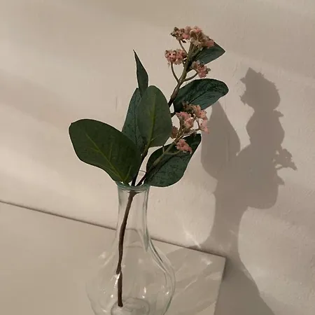Bf Boutique Jerez 招待所